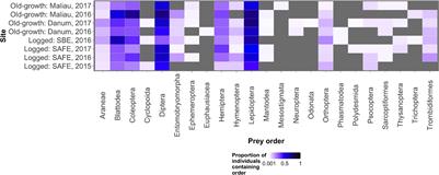 Selective Logging Shows No Impact on the Dietary Breadth of a Generalist Bat Species: The Fawn Leaf-Nosed Bat (Hipposideros cervinus)